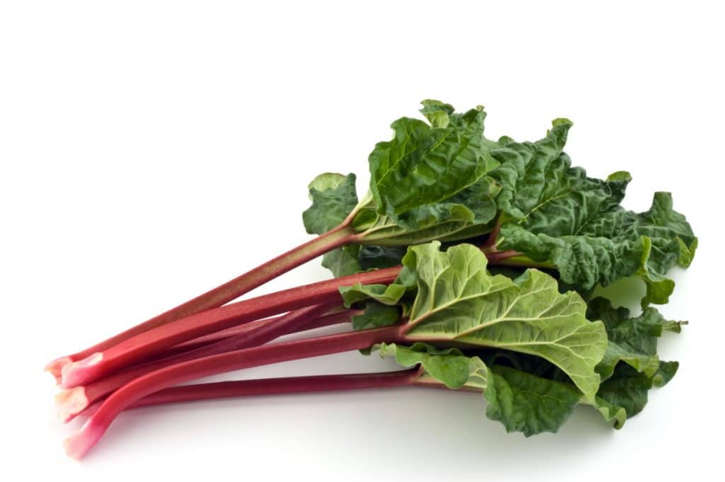 ridiculously-ready-for-rhubarb-the-land-connection