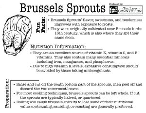 Brussel sprout