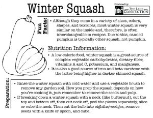 winter squash