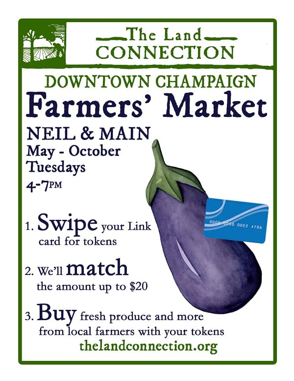 The Importance of SNAP in Illinois The Land Connection