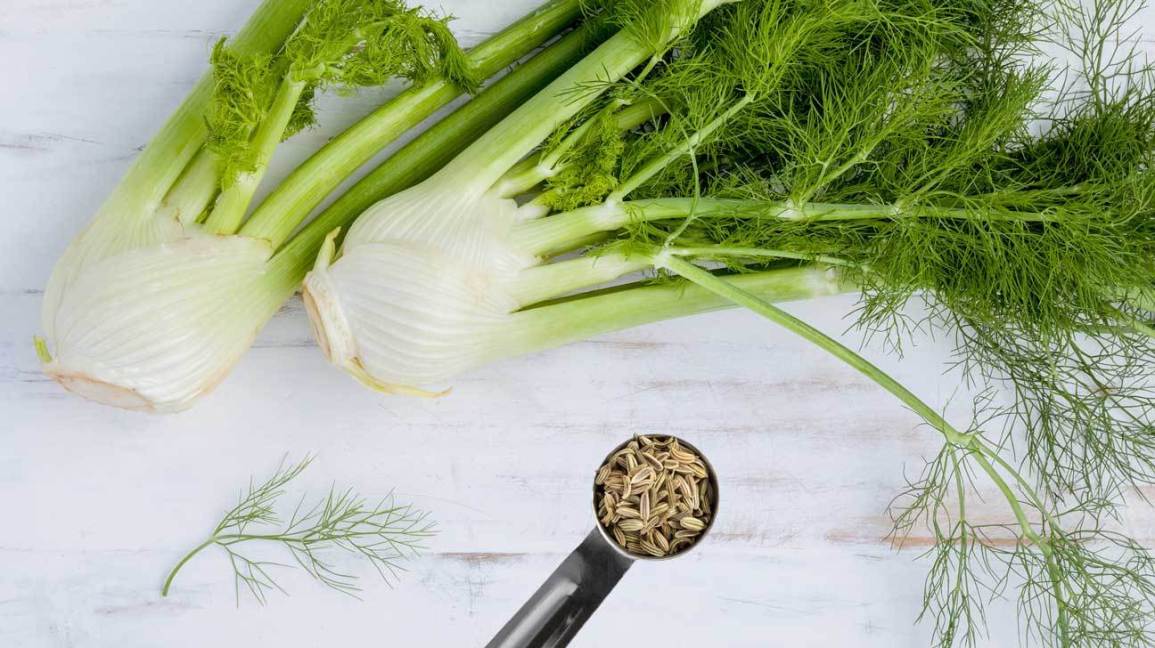 Freshen Your Breath with Fennel - The Land Connection