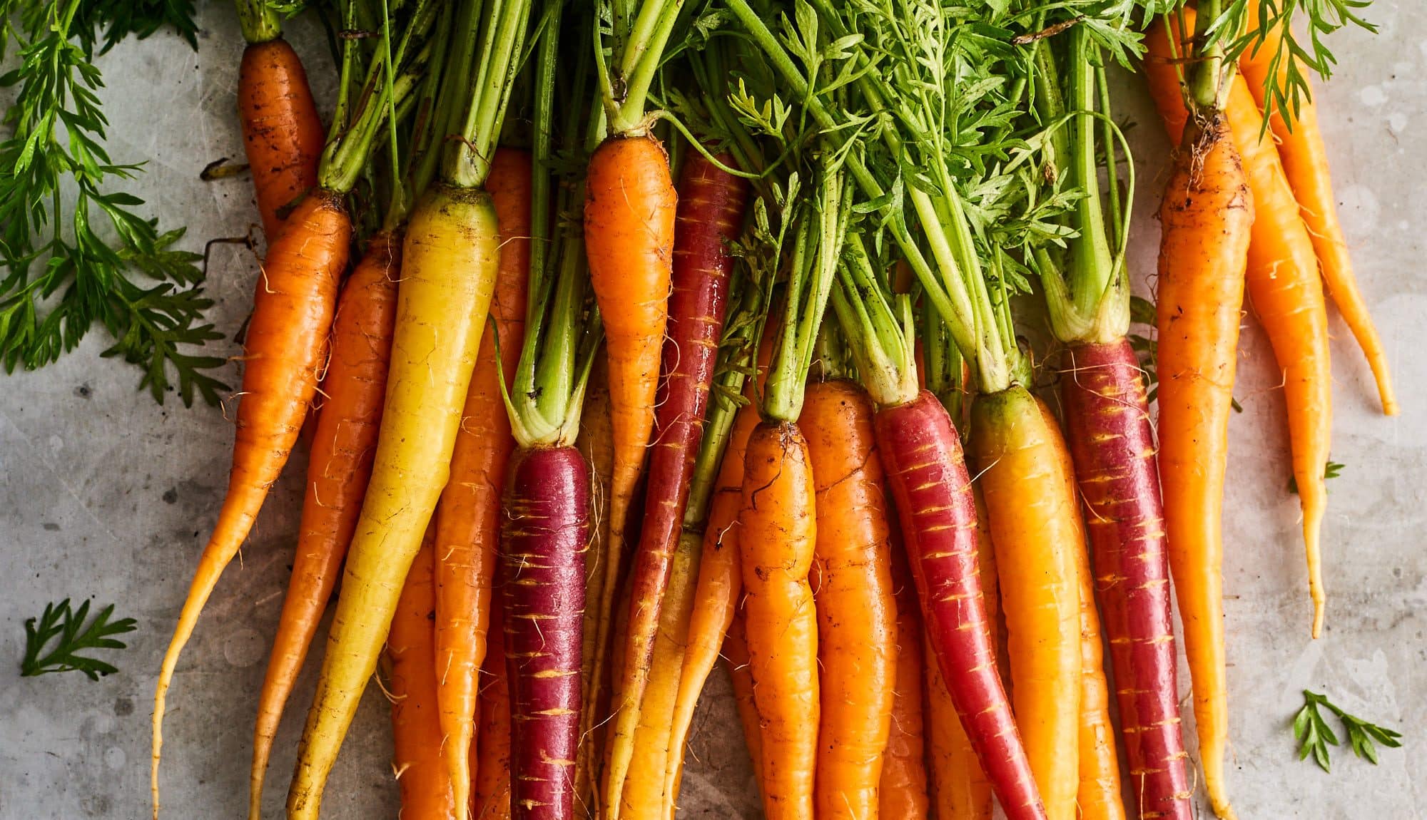 Carrots, for Days The Land Connection