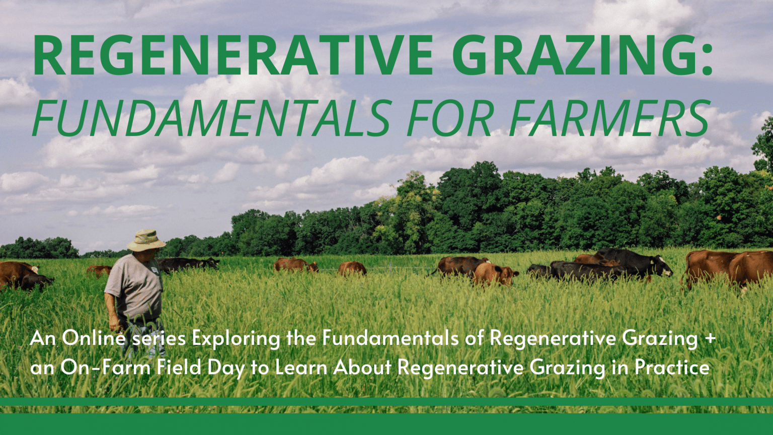 Regenerative Grazing Fundamentals for Farmers The Land Connection