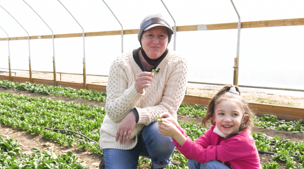 Spinach Ranch Dip - The Land Connection